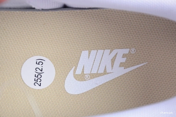 Tan Nike Low Dunk DV0833-100 White 1029